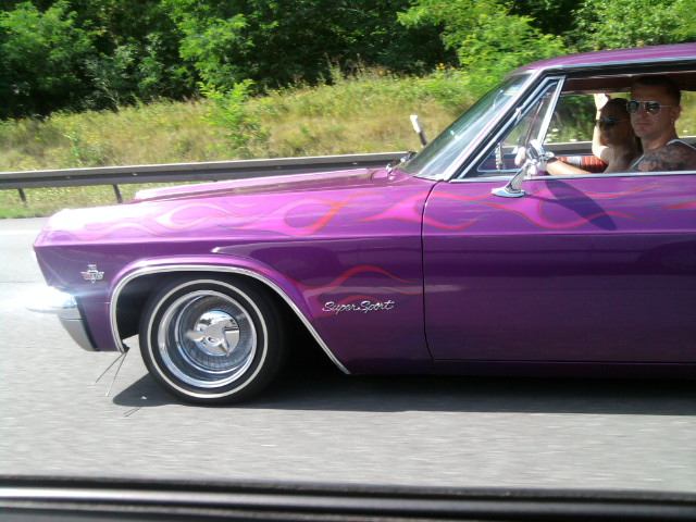 P8014804cf.JPG - User comment