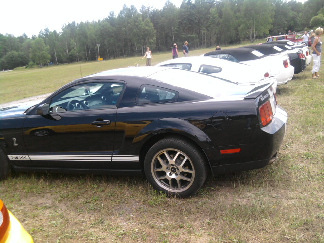 P8014804v.JPG - User comment